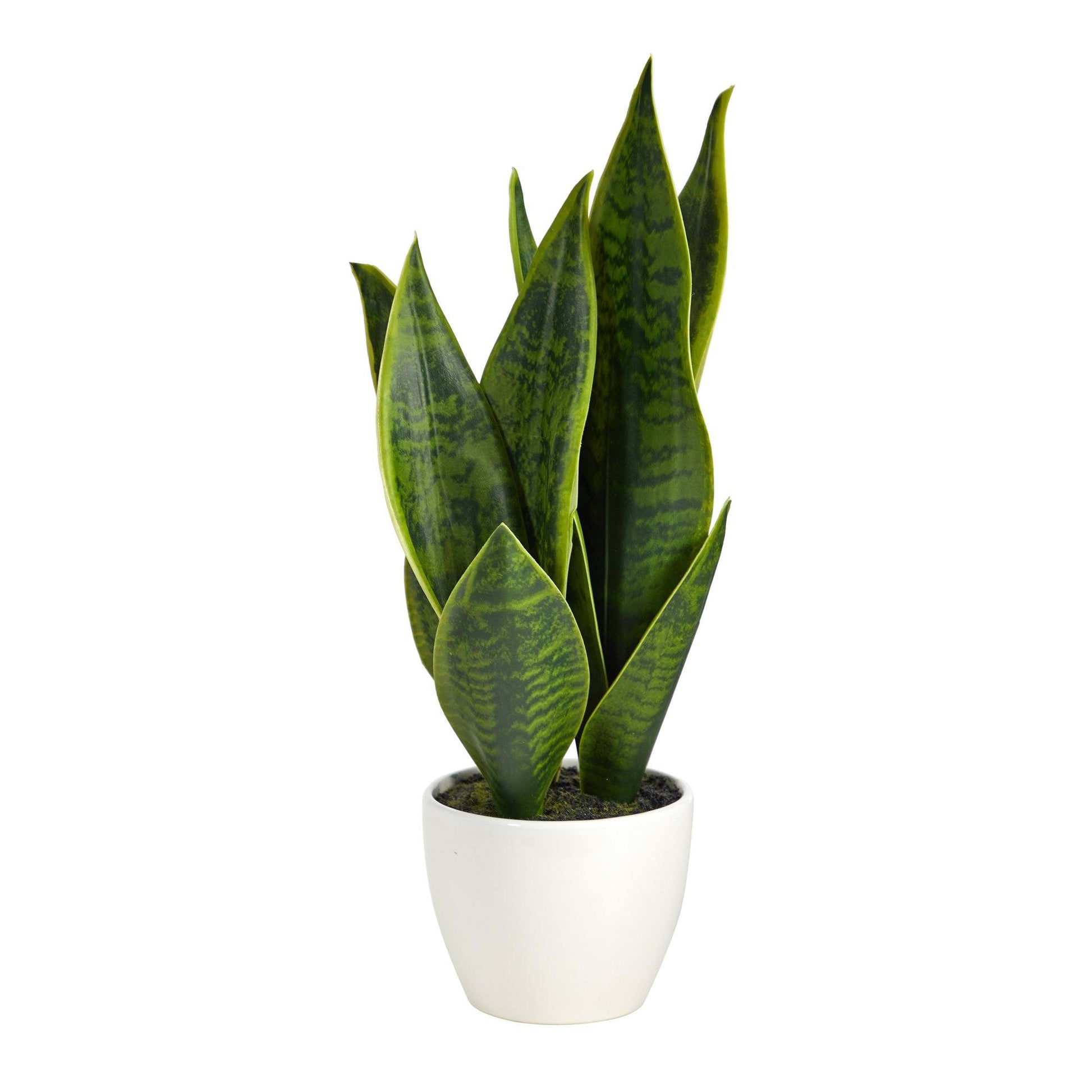 16” Sansevieria Artificial Plant - Tampa Home & Garden Store