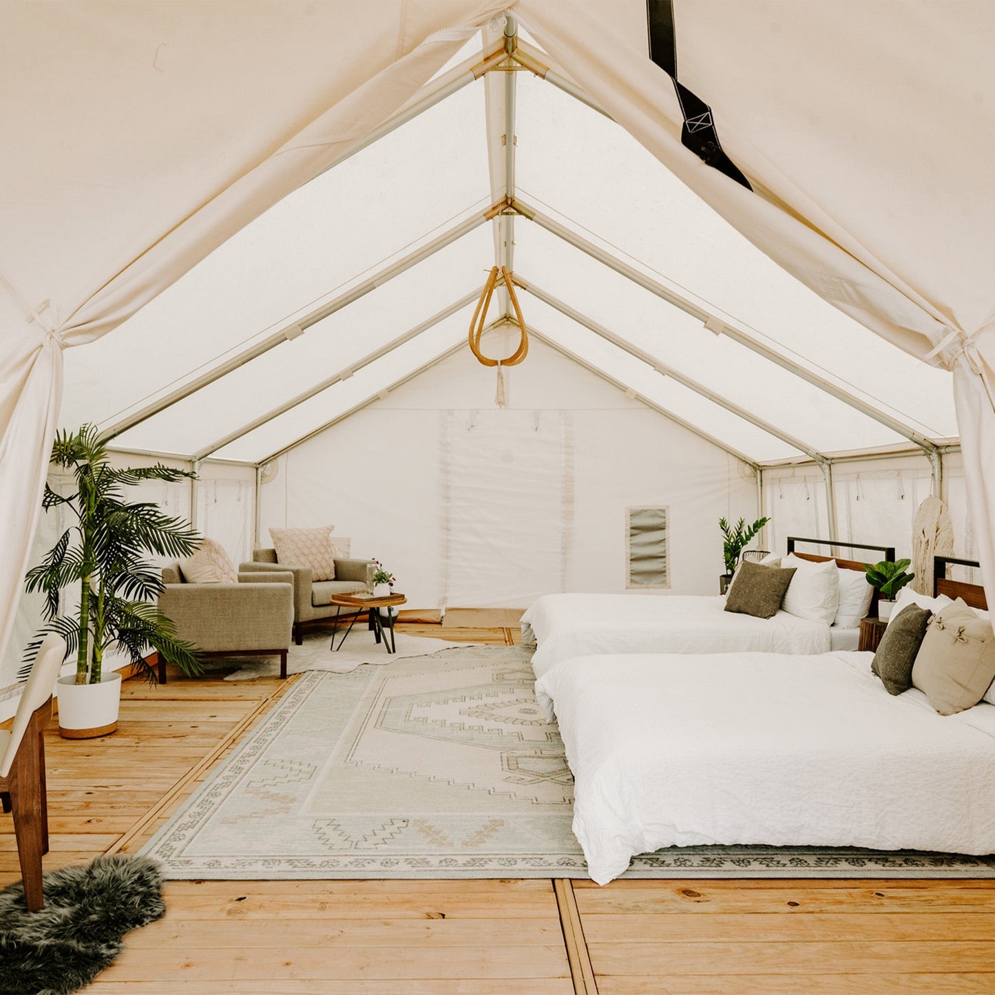 16'x20' Alpha Pro Wall Tent - Tampa Home & Garden Store