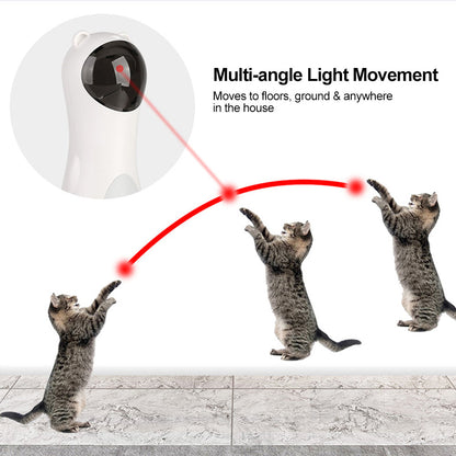 Automatic laser cat toy white bear-shaped device with red laser on Tampa Home & Garden Store