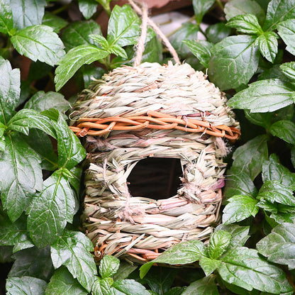 Handwoven straw bird nest cage with natural beige tones hanging among green leaves on Tampa Home & Garden Store