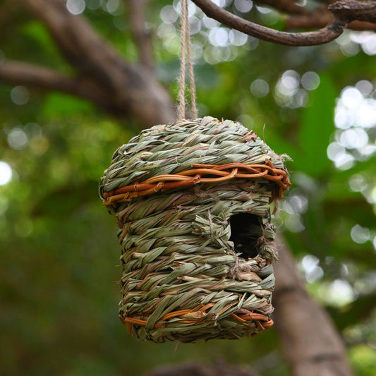Creative Straw Bird Cage in natural green straw with hanging rope Sell My Stuff 1 pc on Tampa Home & Garden Store