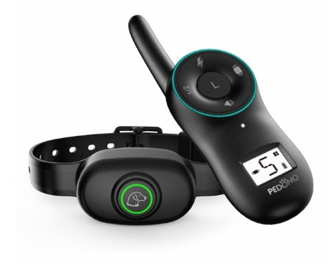 Dog bark control training collar set with waterproof collar and black remote with teal ring on Tampa Home & Garden Store