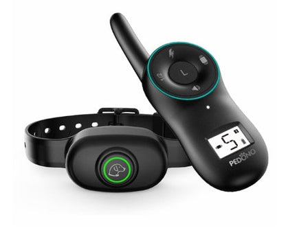 Dog bark control training collar set with waterproof collar and black remote with teal ring on Tampa Home & Garden Store