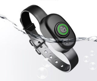 Dog training collar remote waterproof black strap with green button on Tampa Home & Garden Store