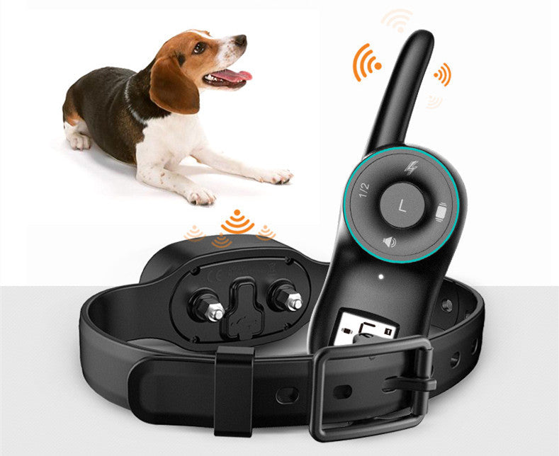 Dog electric training collar with remote, waterproof, USB rechargeable, My Store on Tampa Home & Garden Store