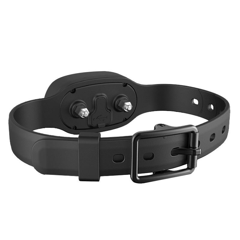 Dog collar by My Store waterproof remote control with black strap on Tampa Home & Garden Store