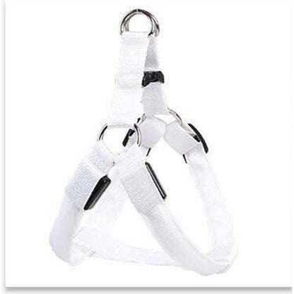 Pet Zen dog LED leash vest harness, white nylon with metal D-rings and adjustable straps on Tampa Home & Garden Store