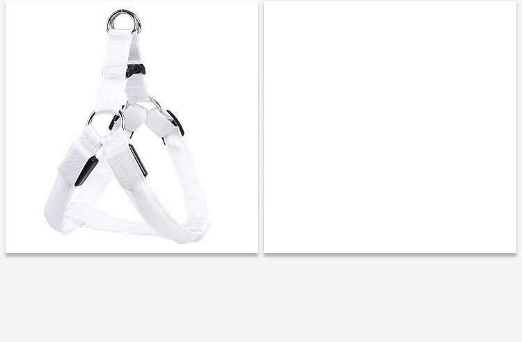 Dog LED illuminated harness vest by Pet Zen, white nylon with metal D-rings and straps on Tampa Home & Garden Store