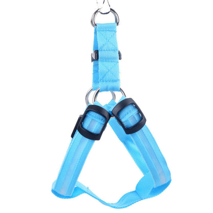 Pet Zen blue LED dog leash vest with chest/back adjustable straps and metal rings on Tampa Home & Garden Store