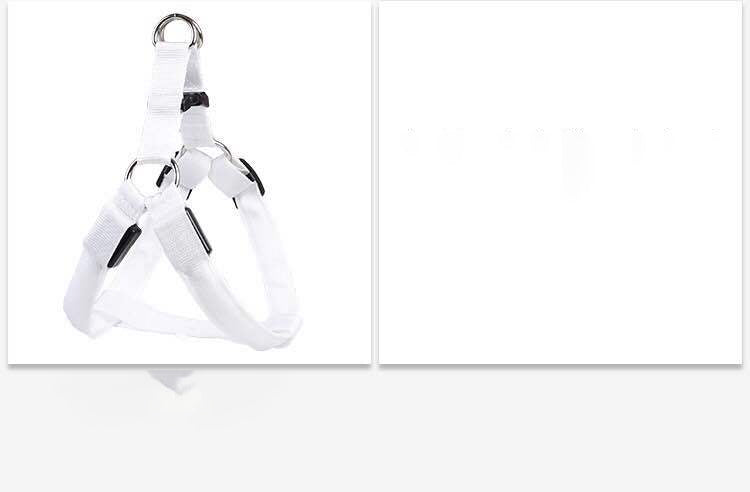 Pet Zen dog LED illuminated chest vest in white with adjustable straps and metal rings on Tampa Home & Garden Store