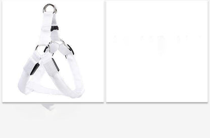 Pet Zen dog LED illuminated chest vest in white with adjustable straps and metal rings on Tampa Home & Garden Store