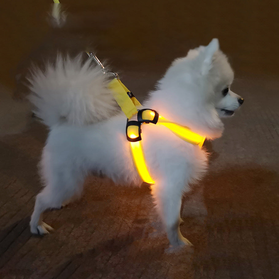Dog LED harness vest with bright yellow illuminated chest and back on white fluffy dog on Tampa Home & Garden Store