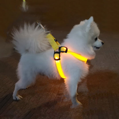 Dog LED harness vest with bright yellow illuminated chest and back on white fluffy dog on Tampa Home & Garden Store