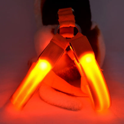 Pet Zen dog LED harness vest with glowing orange chest straps and leash ring on Tampa Home & Garden Store