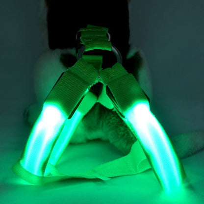 Dog leashing vest with LED chest lights by Pet Zen green glow on Tampa Home & Garden Store