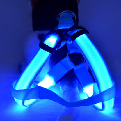 Dog LED leash vest by Pet Zen with blue illuminated chest and back, adjustable harness on Tampa Home & Garden Store