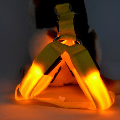 Pet Zen LED dog leashing vest in bright yellow with illuminated chest on Tampa Home & Garden Store
