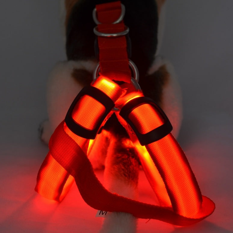 Pet Zen LED dog harness vest with bright red illuminated chest on Tampa Home & Garden Store
