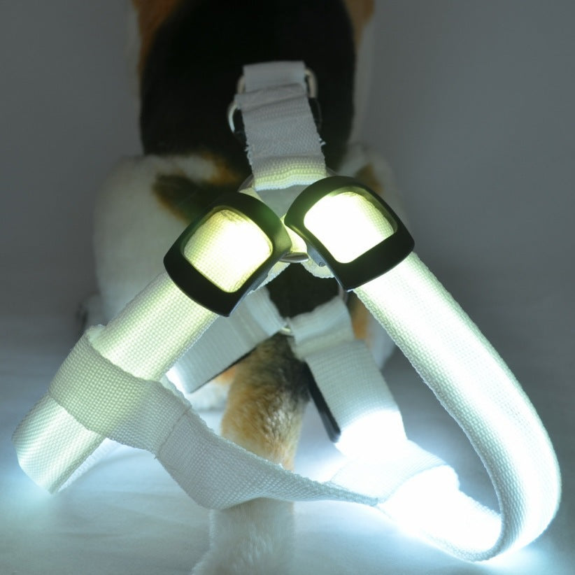 Dog leashing vest with LED illuminated chest/back by Pet Zen on Tampa Home & Garden Store