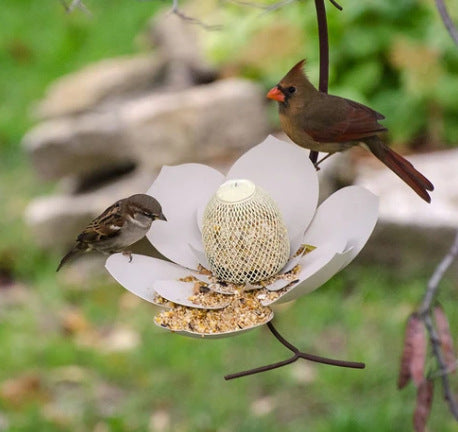 Garden Petal Shape Bird Feeder white flower petals with seed center Sell My Stuff on Tampa Home & Garden Store
