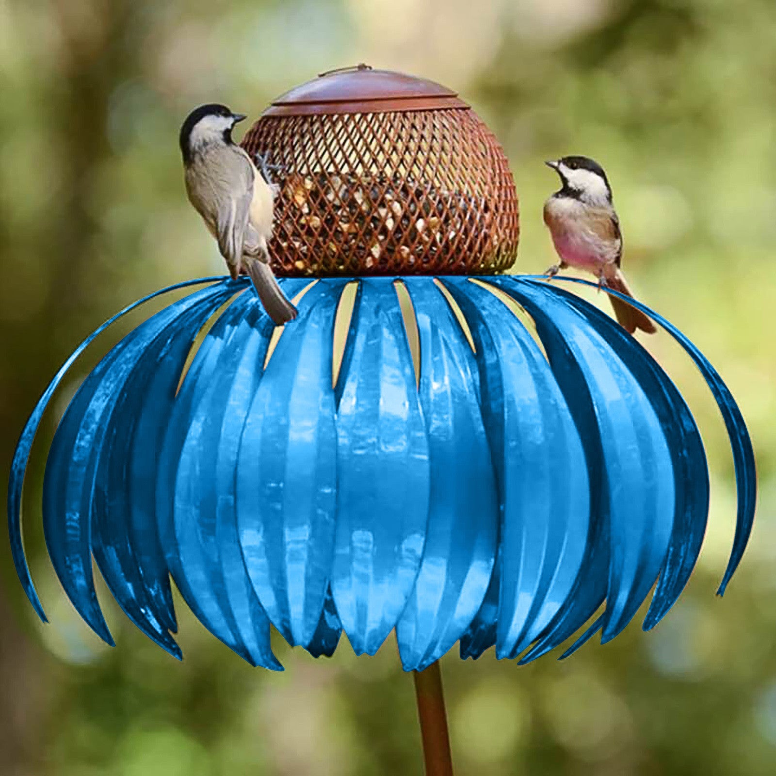 Garden Petal Shape Bird Feeder with blue petals and brown mesh dome, two birds on Tampa Home & Garden Store