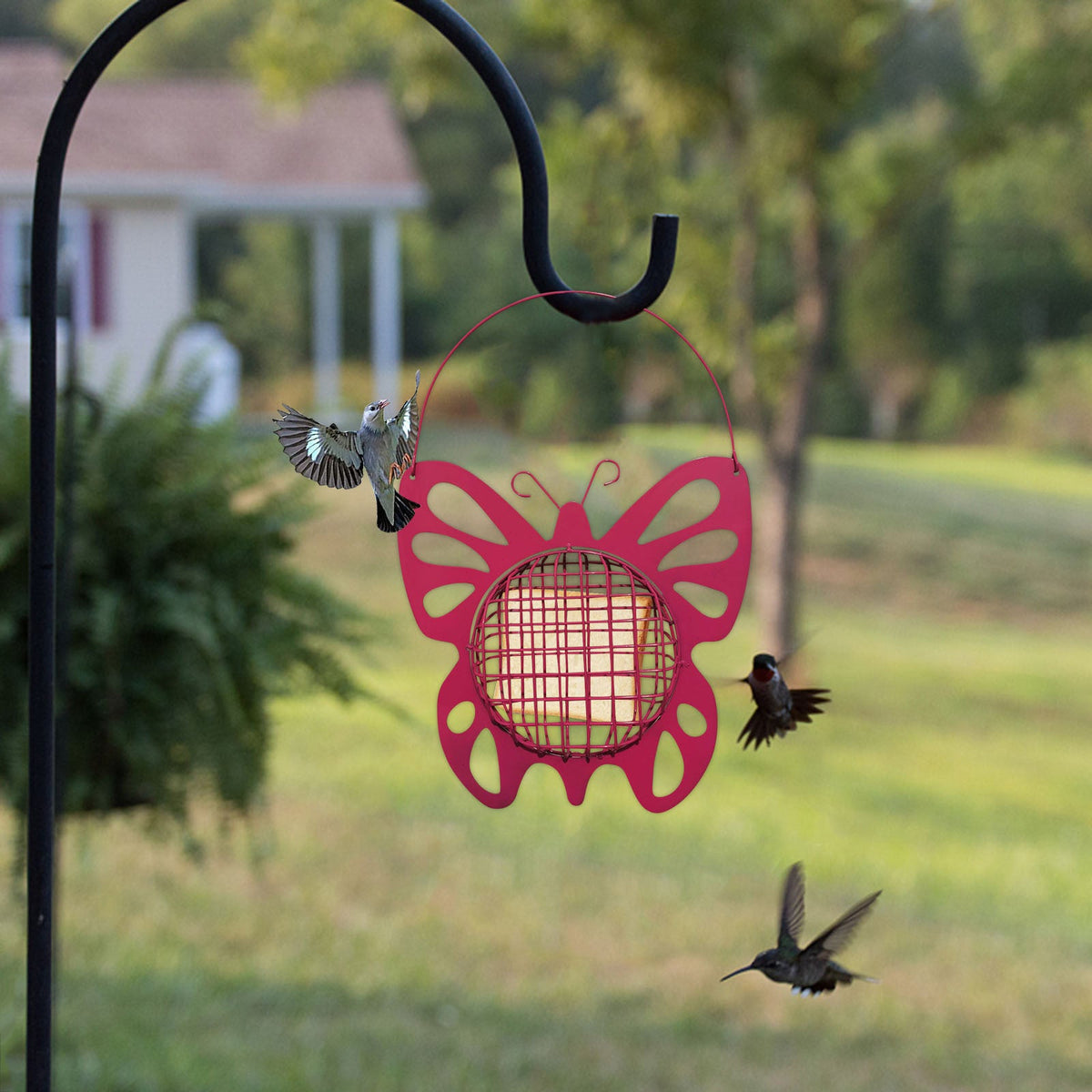 Outdoor metal automatic bird feeder Hanging Feeder pink butterfly Sell My Stuff hummingbirds on Tampa Home & Garden Store