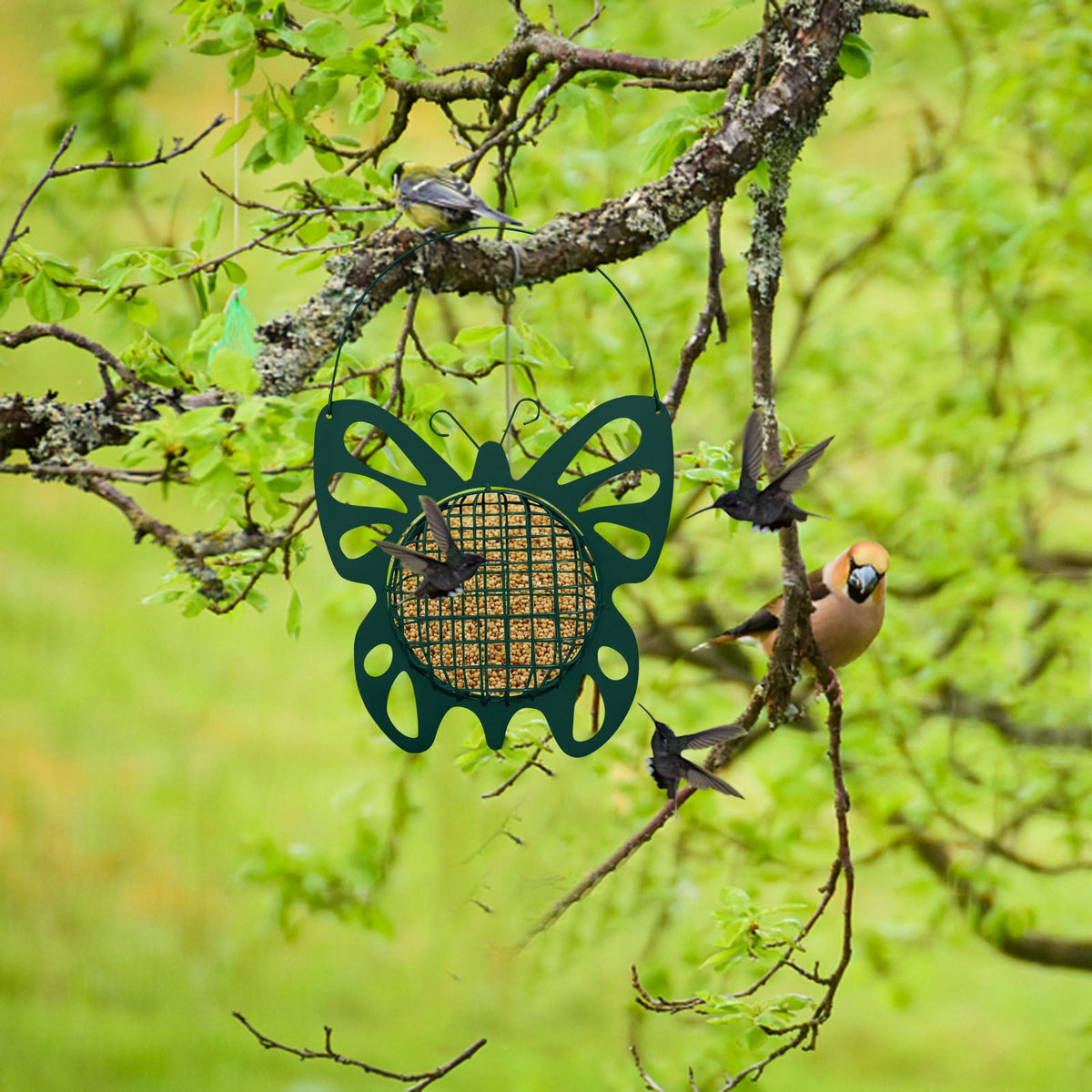 Outdoor metal bird feeder in green butterfly motif with seed basket Sell My Stuff hanging on Tampa Home & Garden Store
