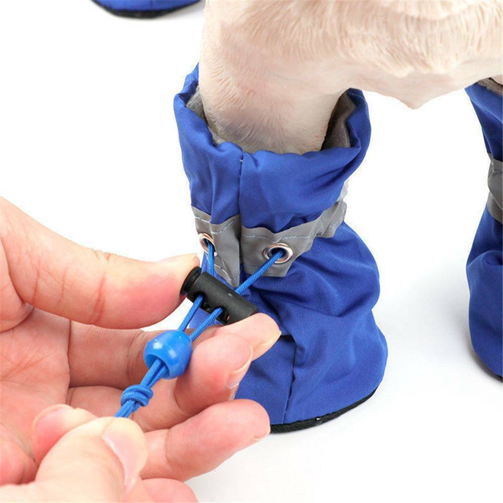 Pet Zen blue dog boots with adjustable drawstring, breathable non-slip sole on Tampa Home & Garden Store