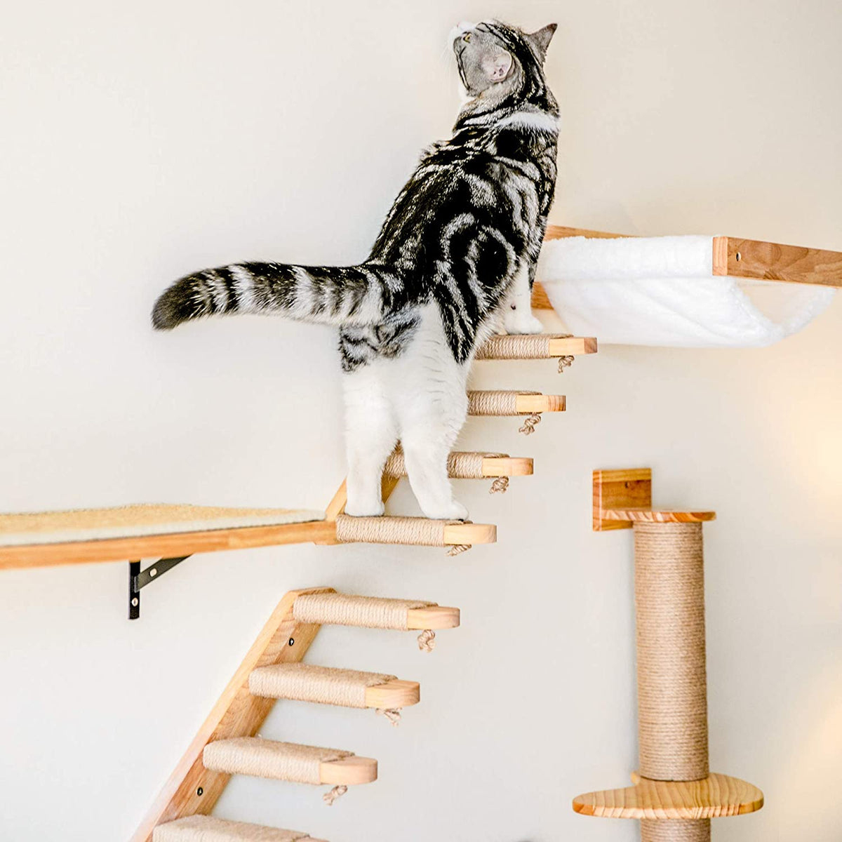 Cat wooden wall hanging ladder pine stairs cat toy multi-layer sisal wrapped steps on Tampa Home & Garden Store