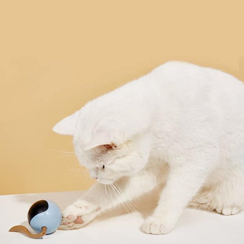 Pet Smart Interactive LED Rotating Ball toy blue ball with black interior and brown leather tail cat playing on Tampa Home & Garden Store
