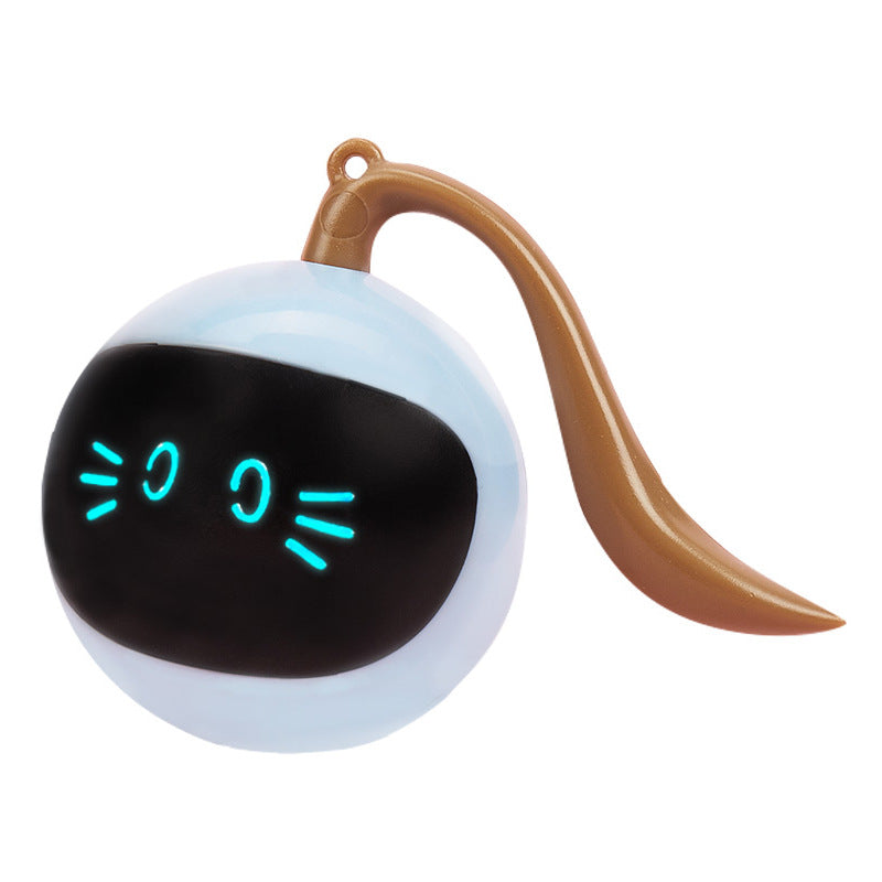 Pet Smart interactive LED rotating ball toy, blue ball with brown tail handle on Tampa Home & Garden Store
