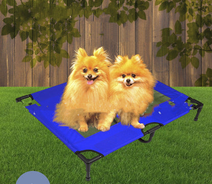 Pet trampoline bed blue folding camping mat for dogs; two fluffy Pomeranians on grass on Tampa Home & Garden Store