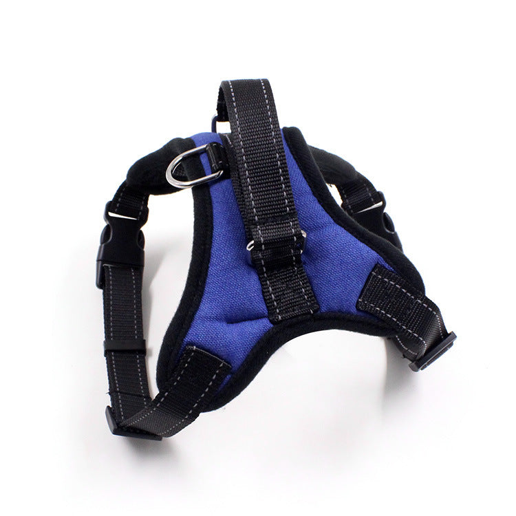 Pet Zen blue padded chest harness for cats and dogs with black nylon straps and metal D-ring on Tampa Home & Garden Store