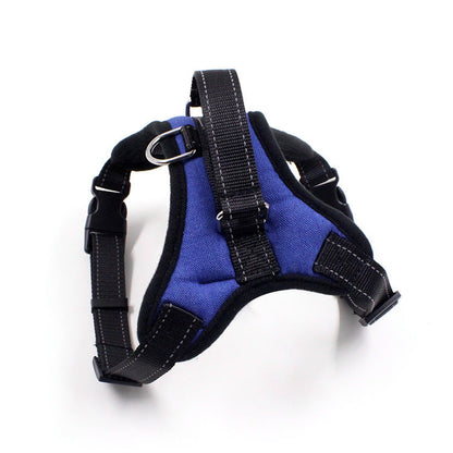 Pet Zen blue padded chest harness for cats and dogs with black nylon straps and metal D-ring on Tampa Home & Garden Store