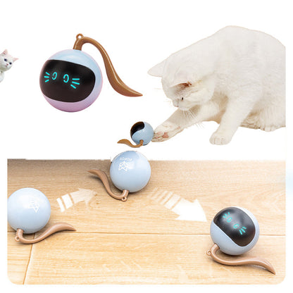 Pet Smart Interactive LED Rotating Ball toy by Sell My Stuff, 3 pastel blue balls on Tampa Home & Garden Store