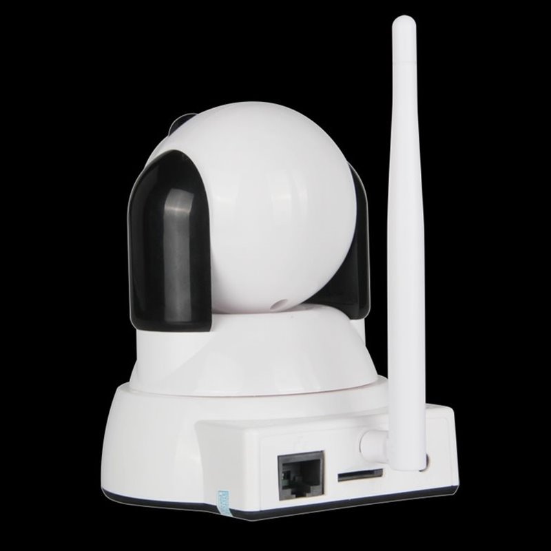 Home baby monitor IP camera, white Wi-Fi dome with black side shields and tall antenna on base on Tampa Home & Garden Store