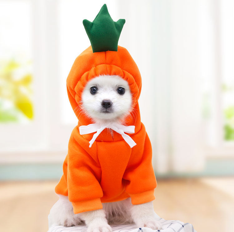 Orange carrot hoodie for small dogs in soft fleece with green crown and white bow at neck on Tampa Home & Garden Store