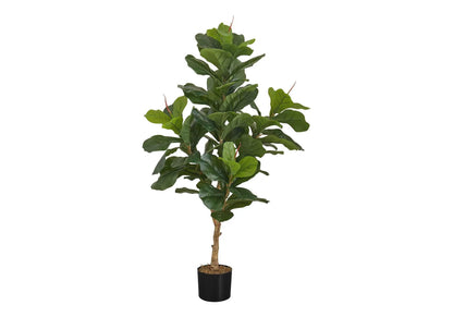 Fiddle leaf fig tree, 47-inch tall, green leaves in black pot on Tampa Home & Garden Store