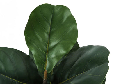 Fiddle leaf fig artificial plant leaves close-up, dark green glossy foliage on Tampa Home & Garden Store