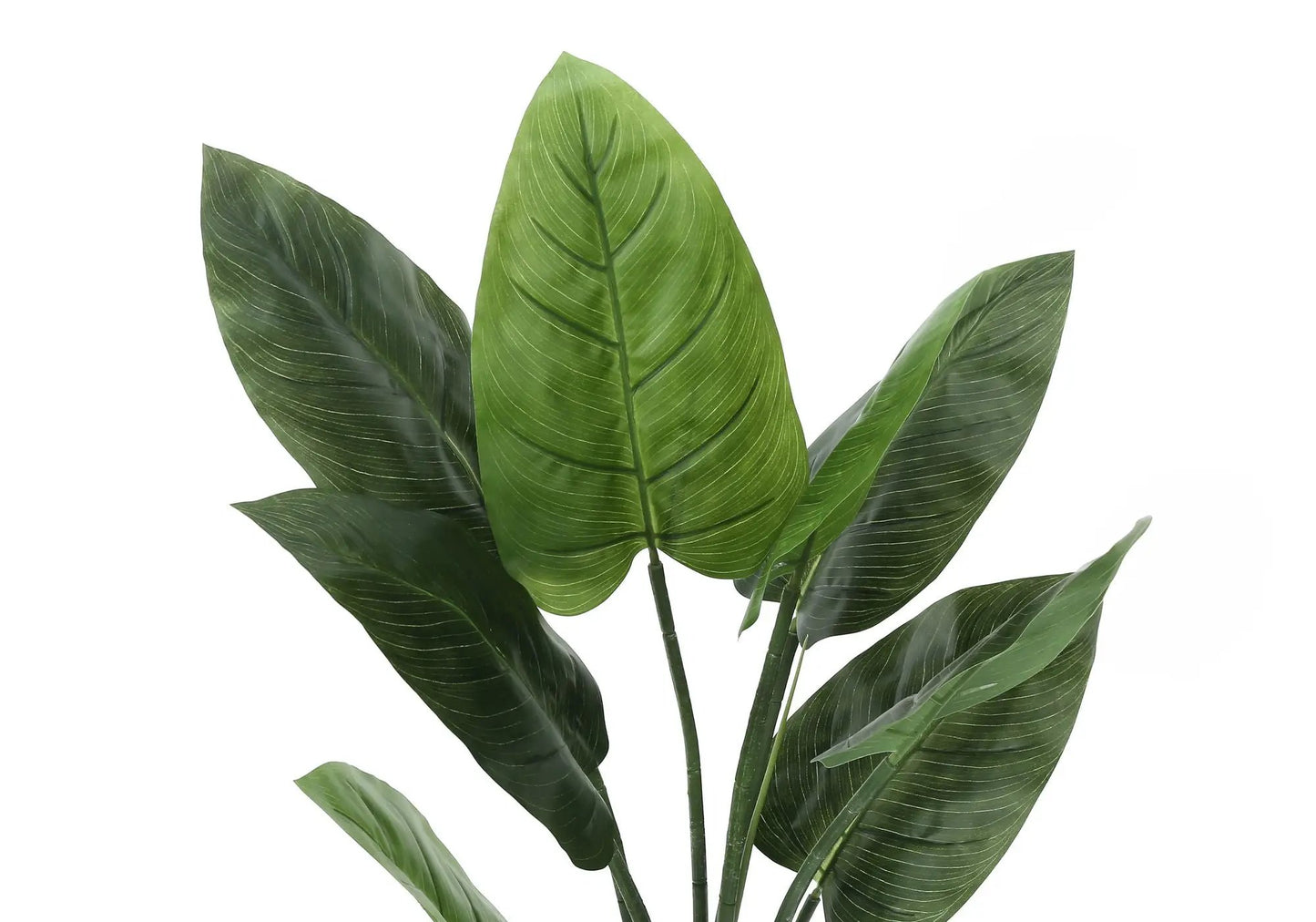 Artificial Aureum Tree plant with large green leaves and subtle venation on Tampa Home & Garden Store