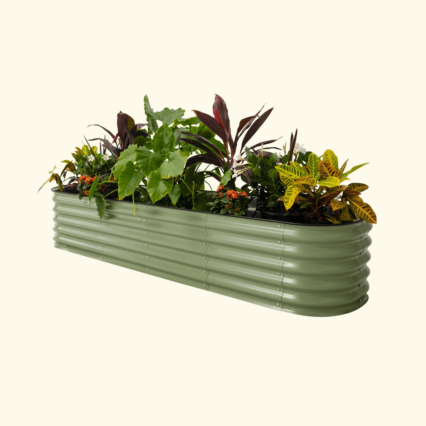 Vego Self Watering Raised Garden Bed 2ft wide x 4, 6, 8ft Long