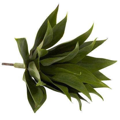 17” Agave Succulent Plant (Set of 2) - Tampa Home & Garden Store