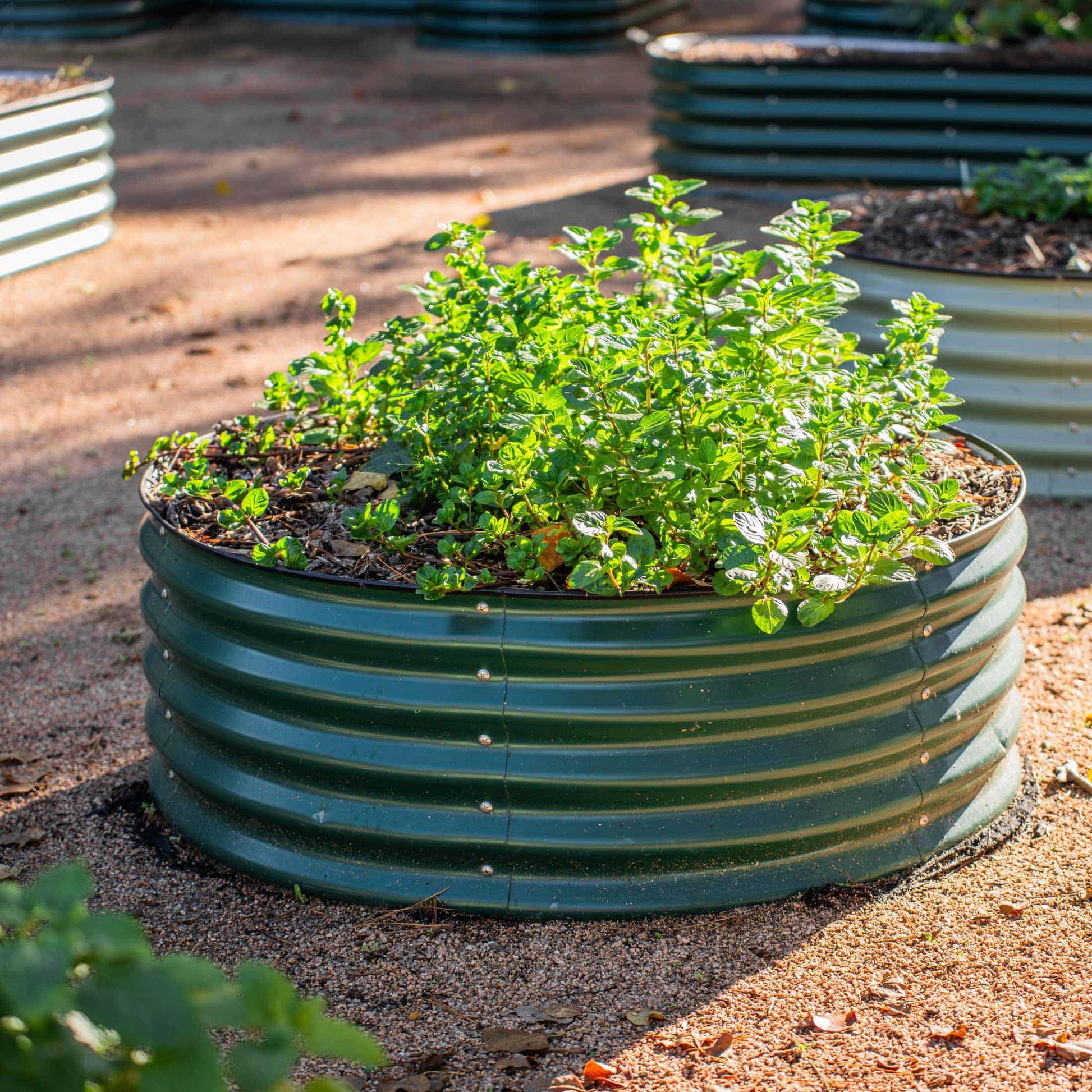 17" High 42" Round Raised Garden Bed Metal - Tampa Home & Garden Store