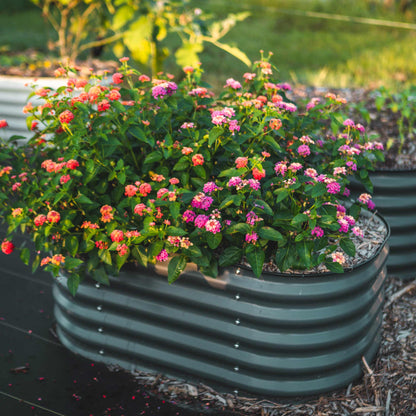 17" Tall Kids Raised Garden Bed 42" x 24" Metal - Tampa Home & Garden Store