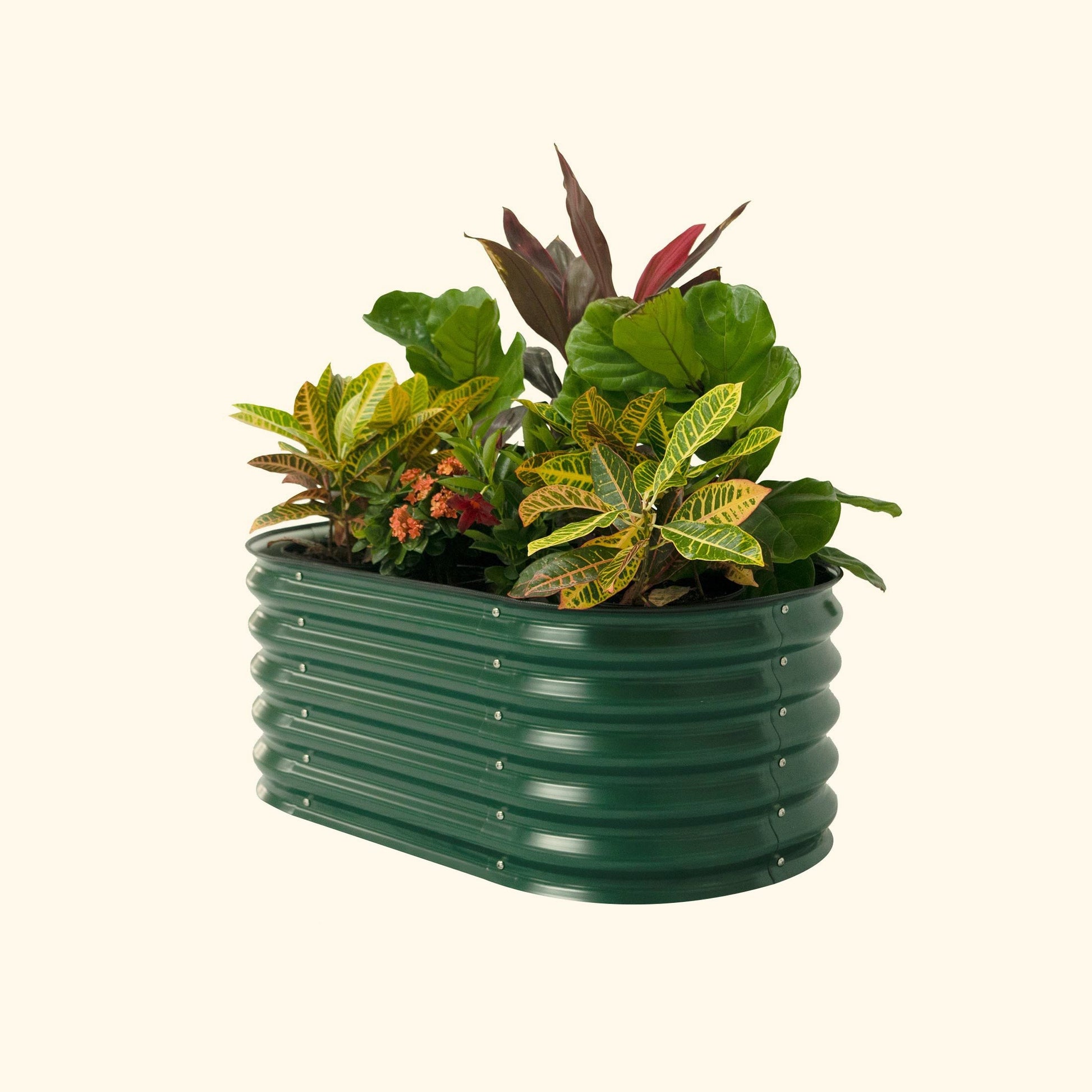 17" Tall Kids Raised Garden Bed 42" x 24" Metal - Tampa Home & Garden Store