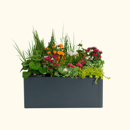 17" Tall Large Modern Raised Garden Bed 42" x 83" Metal - Tampa Home & Garden Store