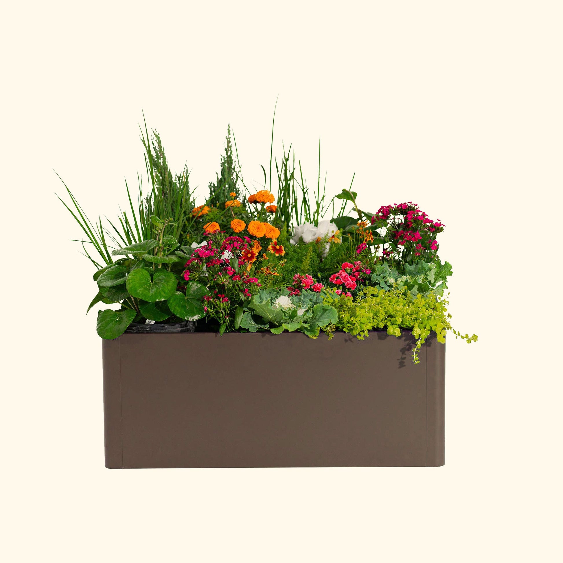 17" Tall Large Modern Raised Garden Bed 42" x 83" Metal - Tampa Home & Garden Store