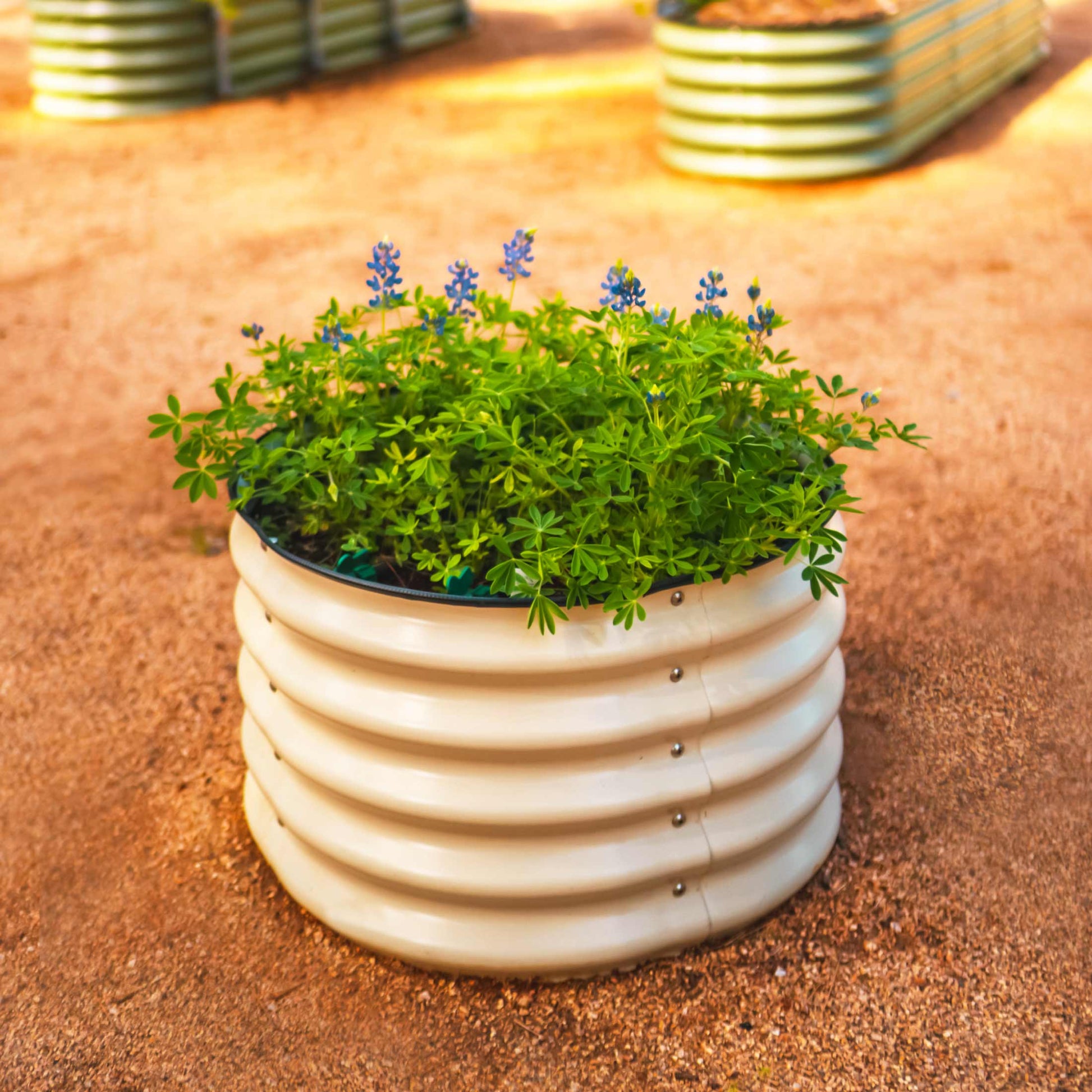 17" Tall Mini Garden Bed Planters 24" Wide Two Pack - Tampa Home & Garden Store