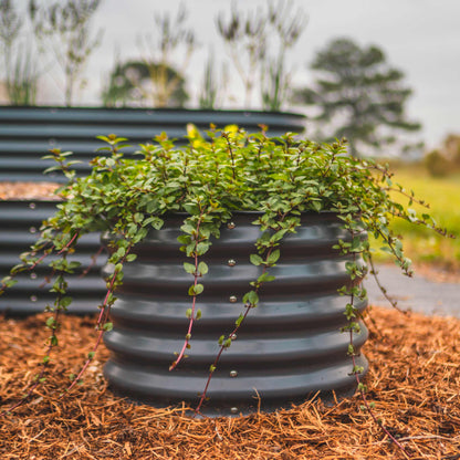 17" Tall Mini Garden Bed Planters 24" Wide Two Pack - Tampa Home & Garden Store