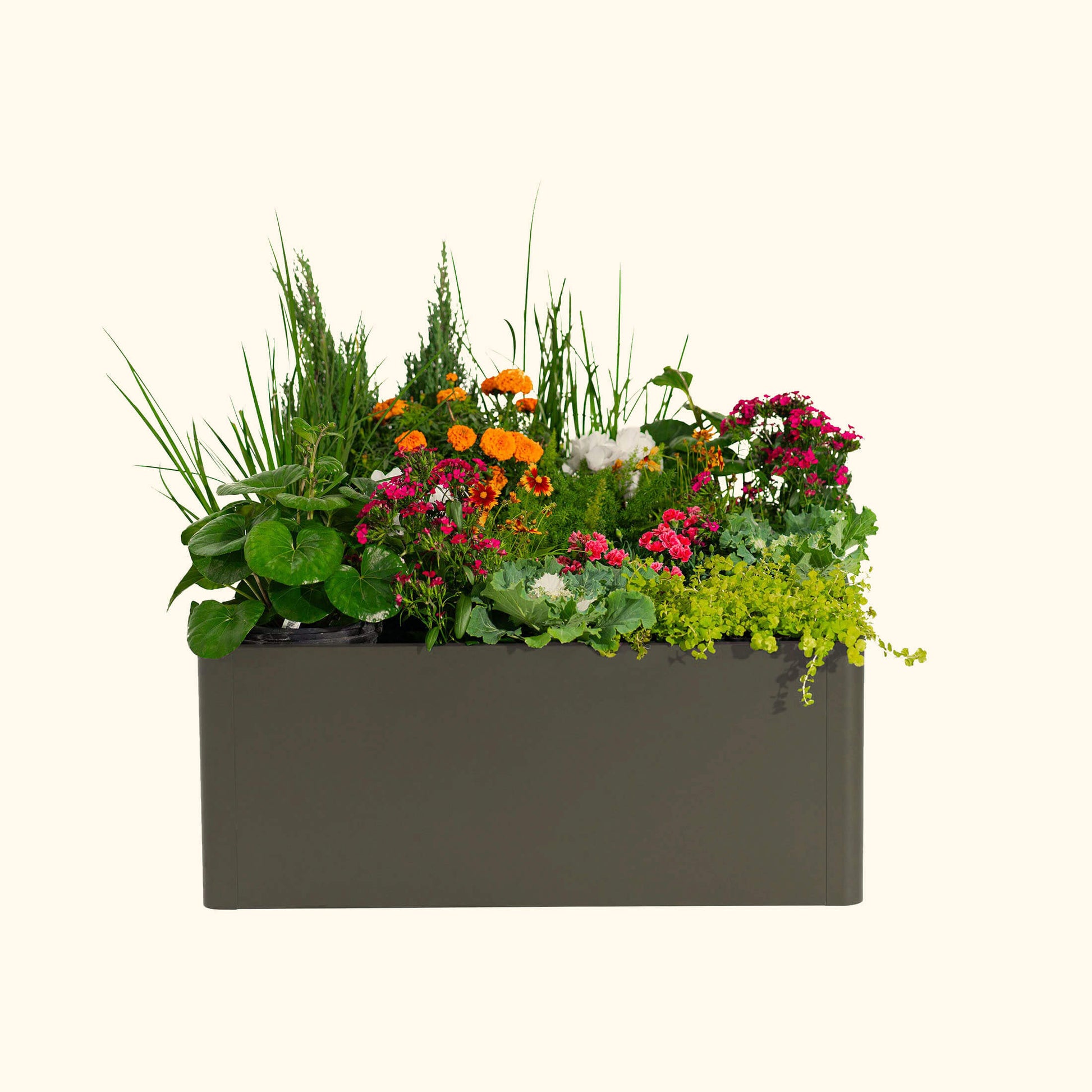 17" Tall Modern Raised Garden Bed 42" x 42" Metal - Tampa Home & Garden Store
